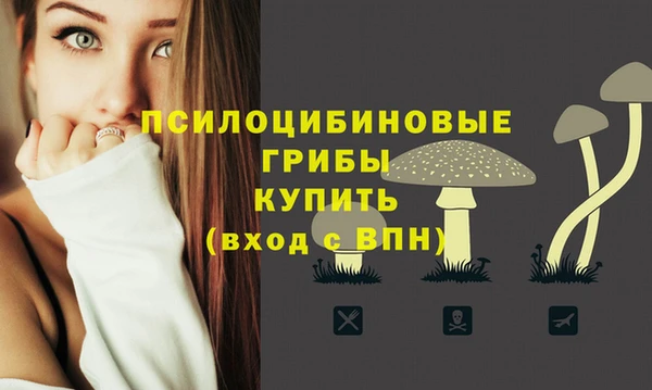 прущая мука Переславль-Залесский