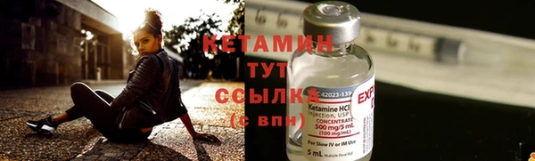 трава Аркадак
