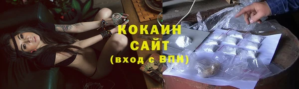 трава Аркадак